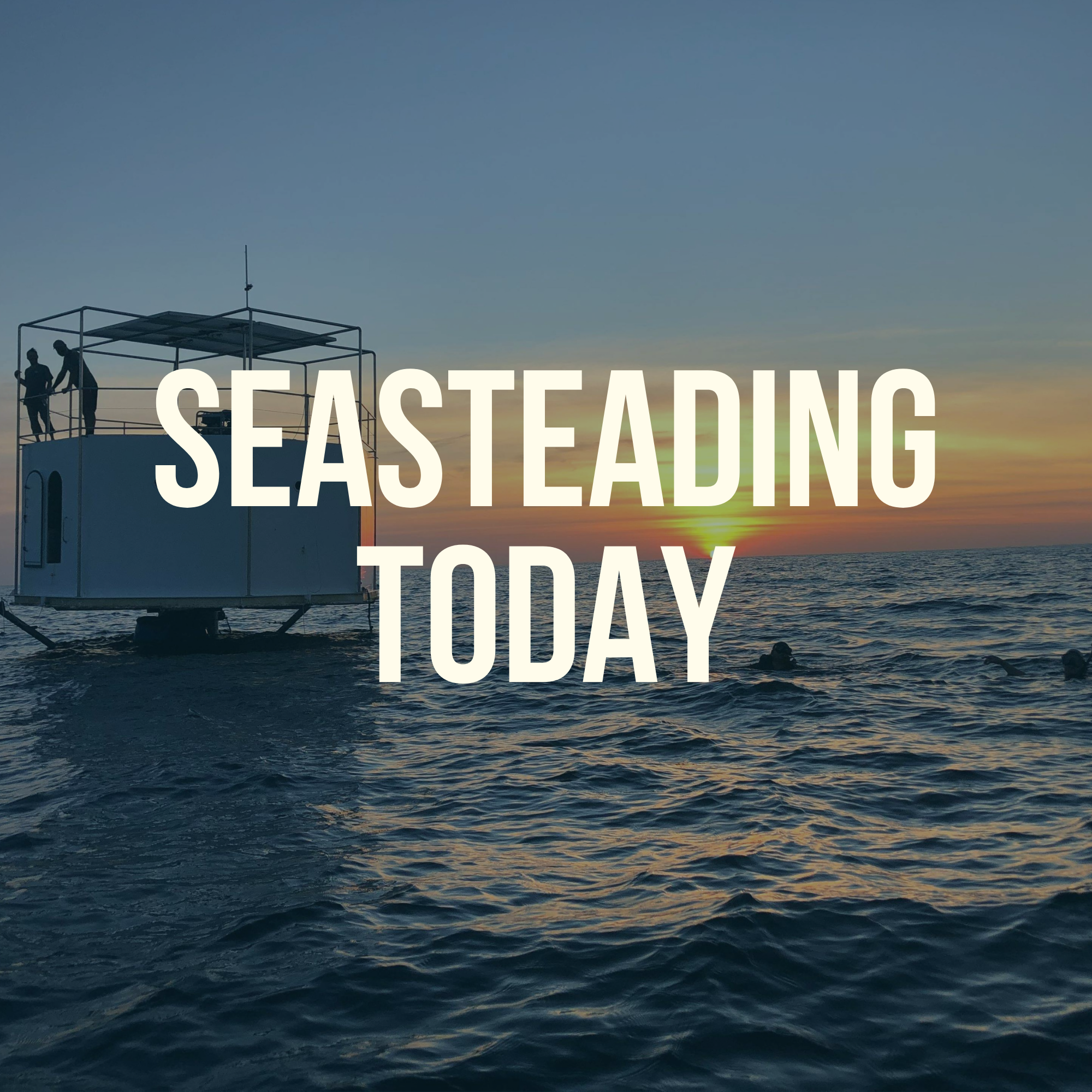 Seasteading Today