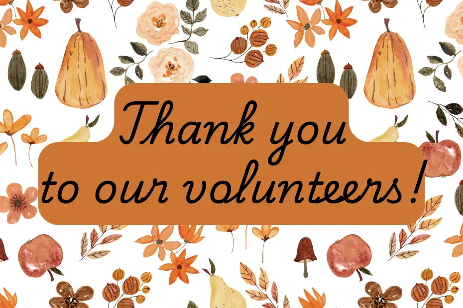 Thank you to our volunteers